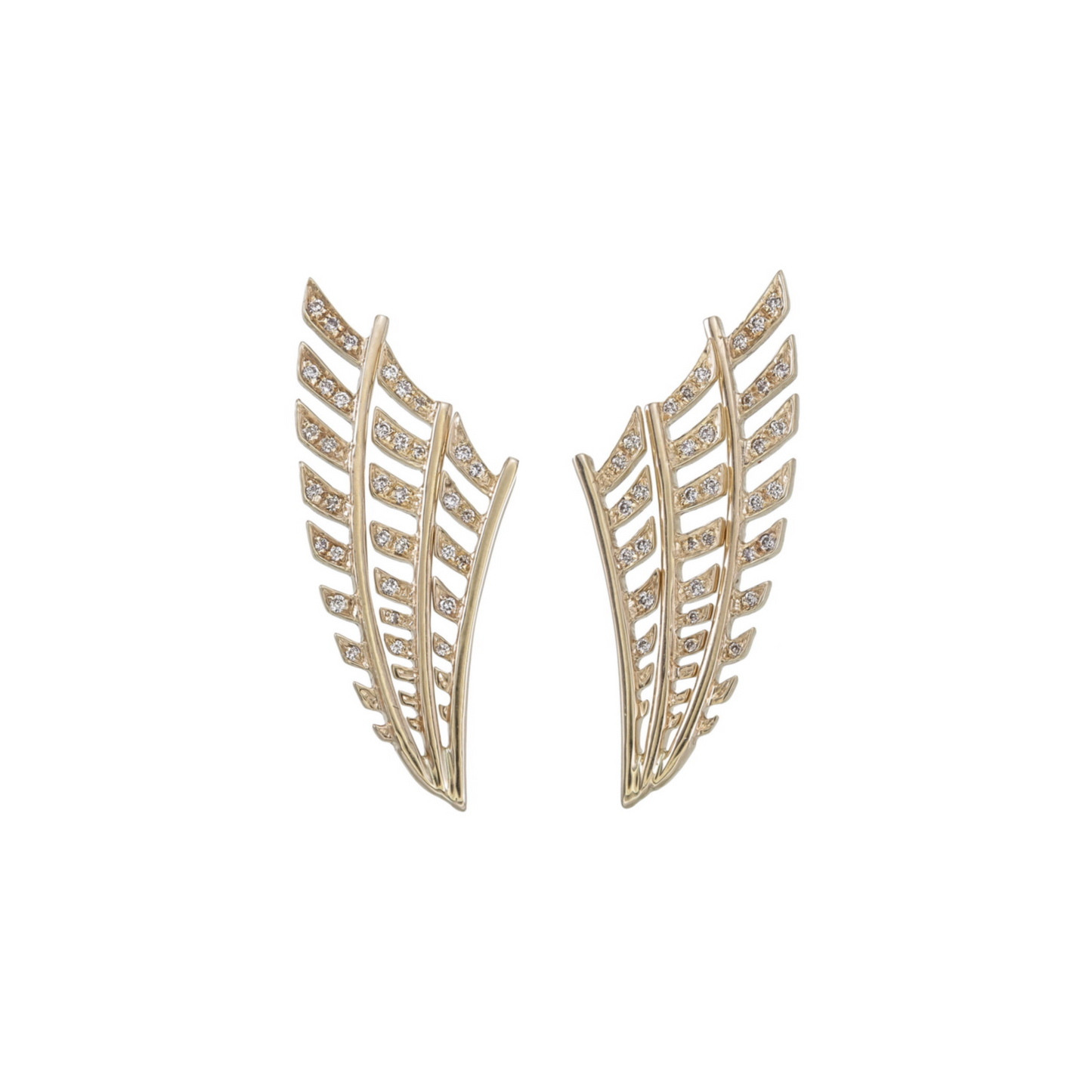 DOUBLE PALM STUDS